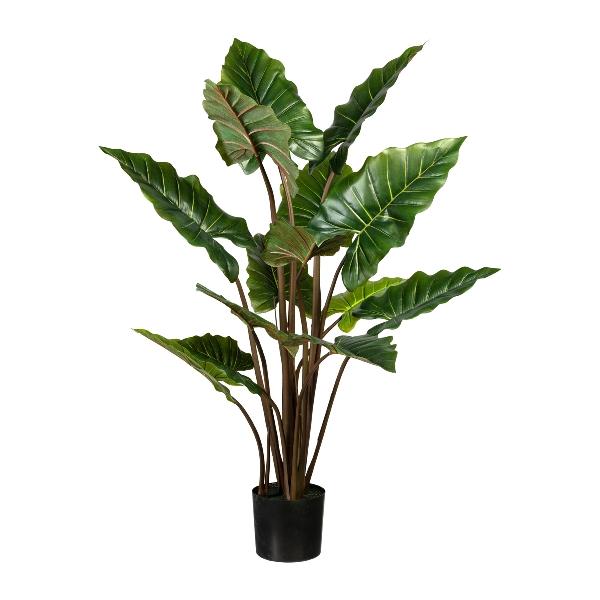 Taro Verde H 140 con 14 Lvs - Sconti per Fioristi e Aziende . - Artificiale con vaso