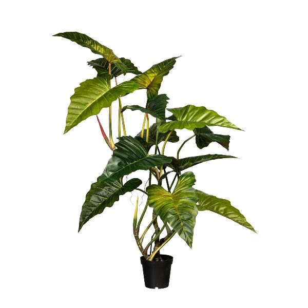 Taro Verde H 175 con 14 Lvs  - Sconti per Fioristi e Aziende . - Artificiale con vaso