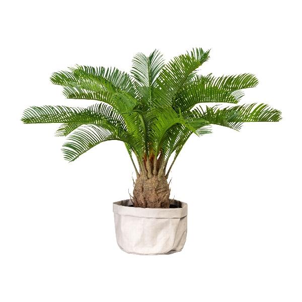 Cicas Palm H 60 con 18 Lvs  - Sconti per Fioristi e Aziende . - Artificiale con vaso