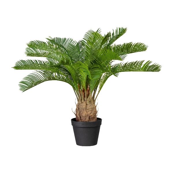 Cicas Palm H 60 con 18 Lvs  - Sconti per Fioristi e Aziende . - Artificiale con vaso