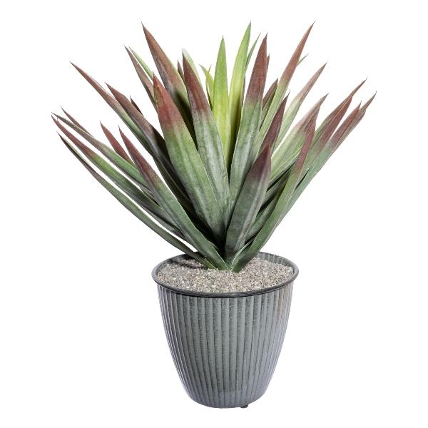 Dracena H 70 in gomma - Sconti per Fioristi e Aziende . - Artificiale con vaso