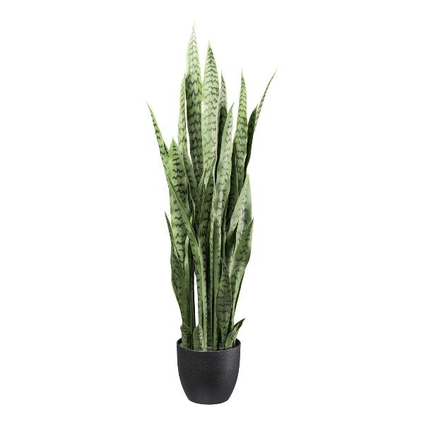 Sanseveria Lauretii H 110 - Sconti per Fioristi e Aziende - Artificiale con vaso