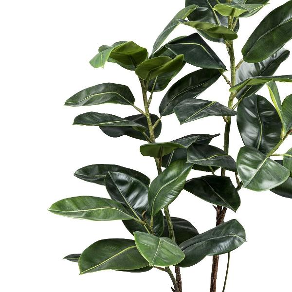 Ficus Elastica Verde H 150 - Sconti per Fioristi e Aziende - Artificiale con vaso