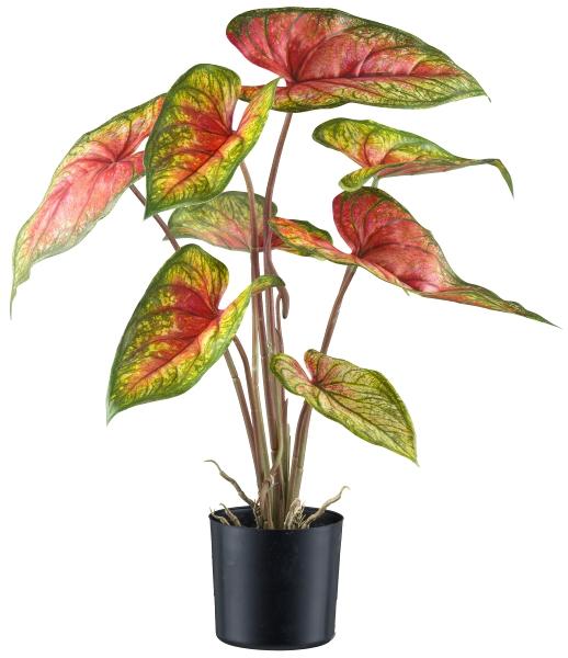 Caladium Rosso x 8 H 55 - Sconti per Fioristi e Aziende - Artificiale con vaso