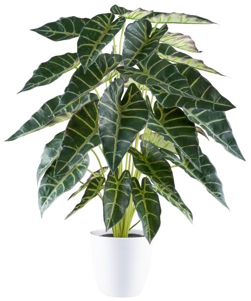 Alocasia Verde H 70 con vaso  - Sconti per Fioristi e Aziende . - Artificiale