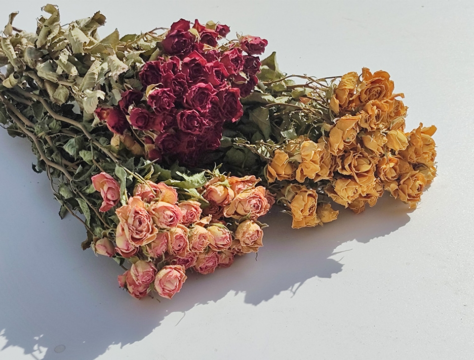 Rose x 20 Dry H 60 dm. 2.5 cm - Sconto per Fioristi e Aziende .