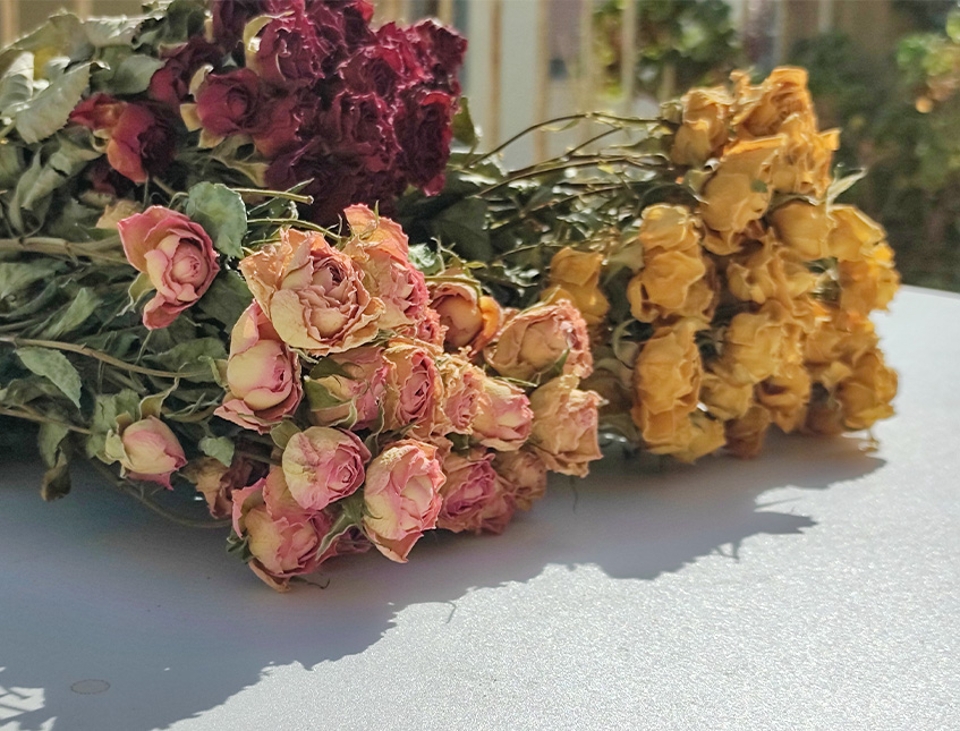 Rose x 20 Dry H 60 dm. 2.5 cm - Sconto per Fioristi e Aziende .
