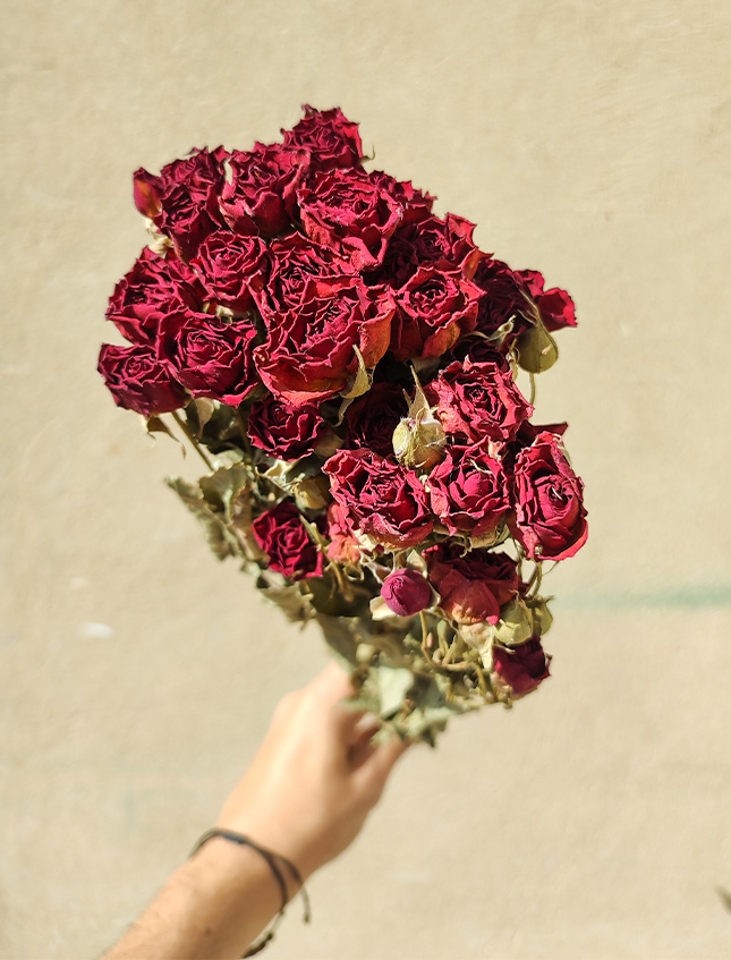 Rose x 20 Dry H 60 dm. 2.5 cm - Sconto per Fioristi e Aziende .