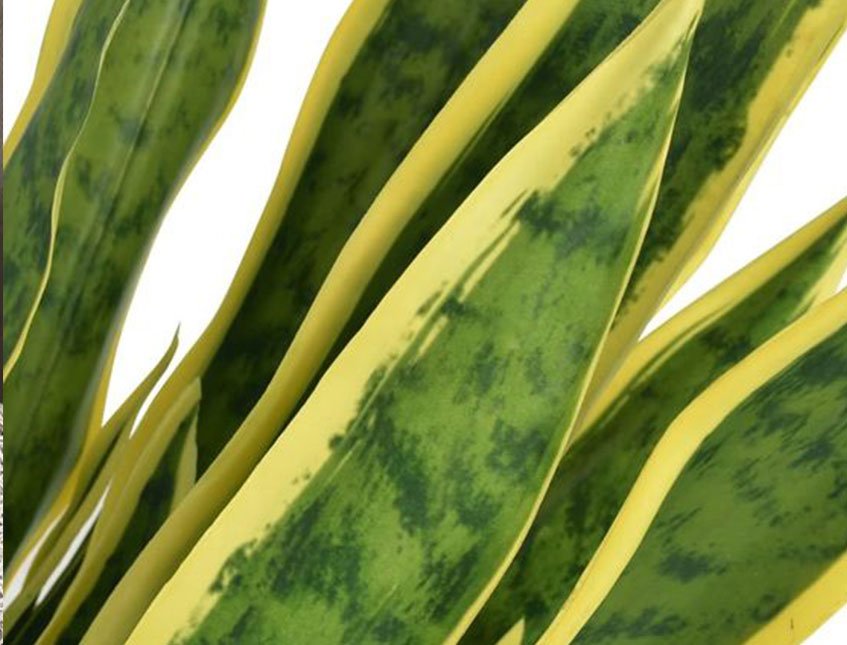 Sanseveria Trifasciata H 90  - Sconti per Fioristi e Aziende - Artificiale x 29 foglie in vaso