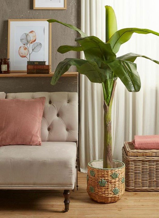 Banano x 3 H 150 w/21 Lvs - Sconti per Fioristi e Aziende . - Artificiale con vaso