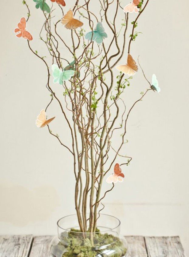 Nocciolo Contorto H 300 x 10 - Sconti per Fioristi e Aziende - Salix Willow naturale