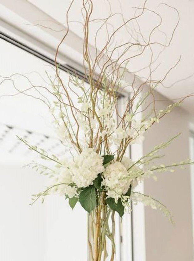 Nocciolo Contorto H 300 x 5  - Sconti per Fioristi e Aziende - Salix Eillow naturale