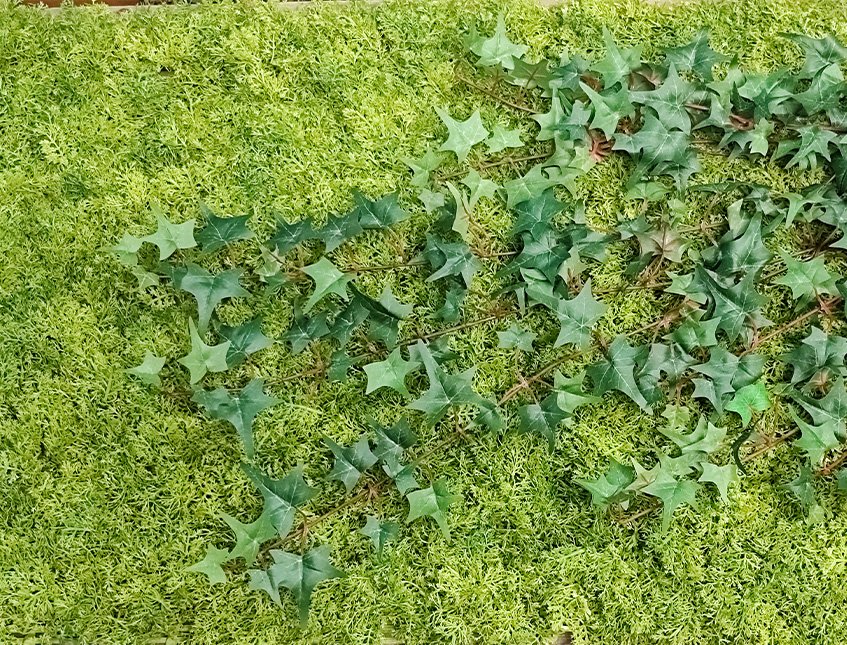 Pannello Muschio cm. 50x50 - Sconti per Fioristi e Aziende . - Artificiale Gommato