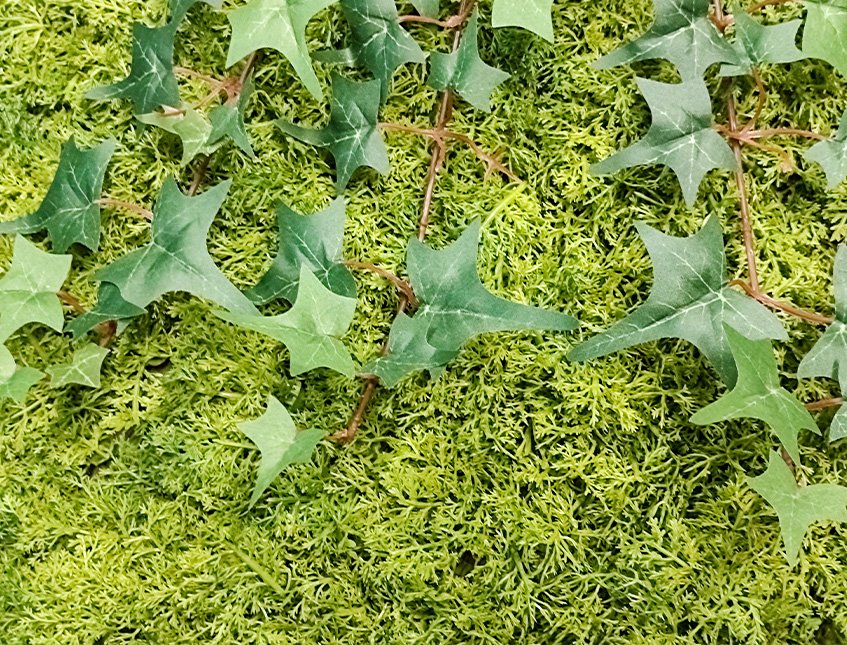 Pannello Muschio cm. 50x50 - Sconti per Fioristi e Aziende . - Artificiale Gommato