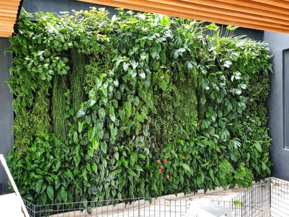 Giardino Verticale Artificiale  - Sconti per Fioristi e Aziende - Adatto in esterno ed Interno