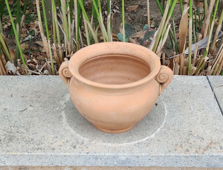 Casponcino in terracotta - Sconto per Fioristi e Aziende - Con manici H 10 dm. 12