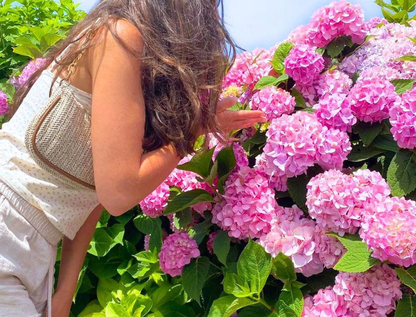 Ortensia Bush x 6 Artificiale - Sconti per Fioristi e Aziende . - Vari colori