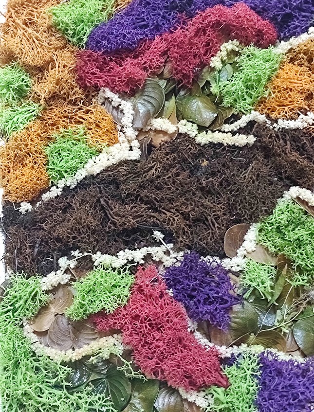 Quadro Moss Fanny Color - Sconto per Fioristi e Aziende . - 49 x 33 cm.