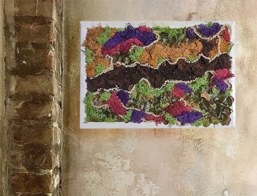 Quadro Moss Fanny Color - Sconto per Fioristi e Aziende . - 49 x 33 cm.