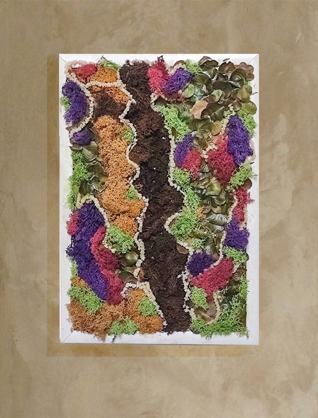 Quadro Moss Fanny Color - Sconto per Fioristi e Aziende . - 49 x 33 cm.