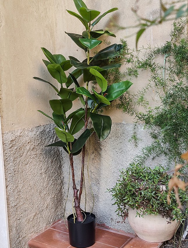 Ficus Elastica Verde H 150 - Sconti per Fioristi e Aziende - Artificiale con vaso