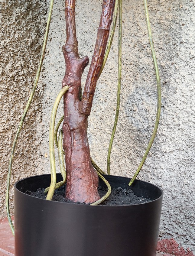 Ficus Elastica Verde H 150 - Sconti per Fioristi e Aziende - Artificiale con vaso