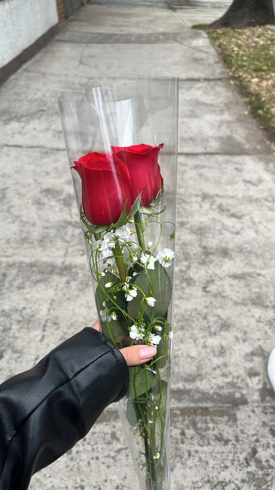 Buste per rosa H 25 X 100 - Confezione da 100 buste - Tutta Trasparente