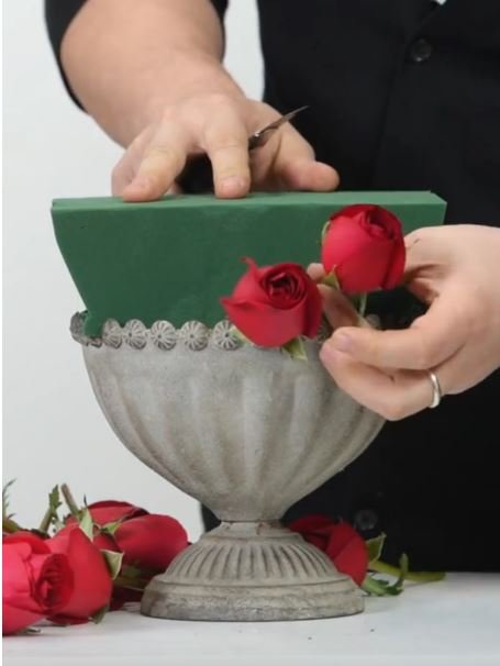 Spugna Eden Professional - Sconti per Fioristi e Aziende - Cartone da 20 pezzi