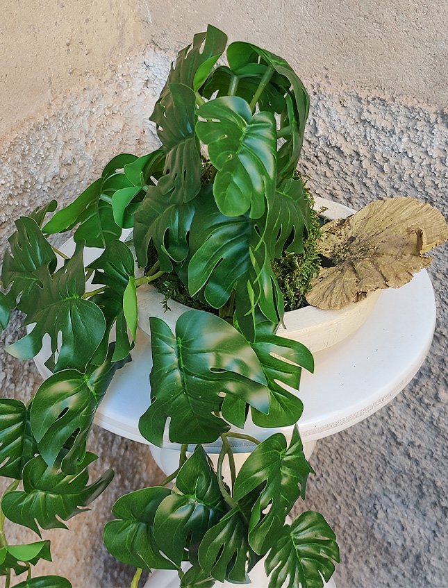 Kokedama Filodendro H 48 - Sconto per Fioristi e Aziende . - In Poliester dm. 28