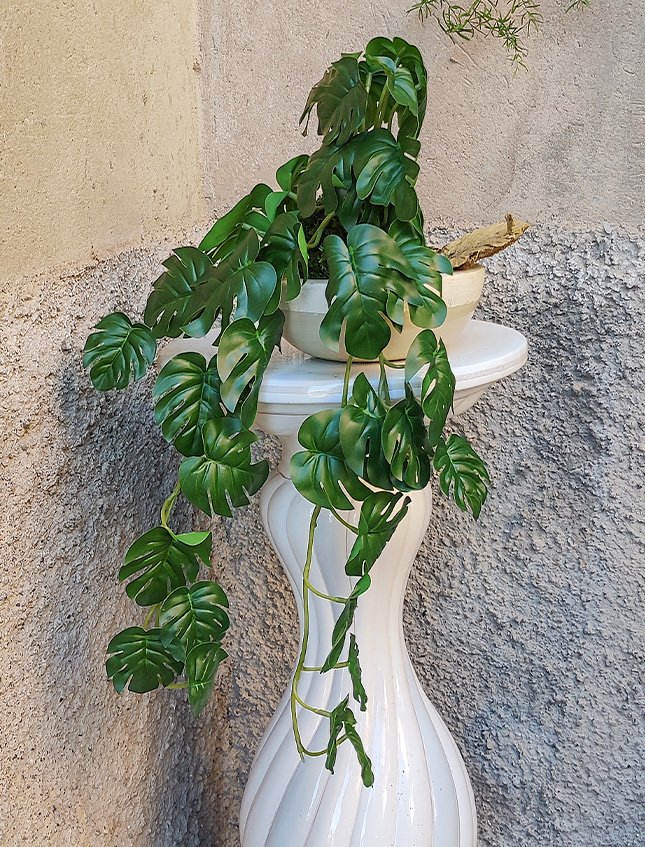 Kokedama Filodendro H 48 - Sconto per Fioristi e Aziende . - In Poliester dm. 28