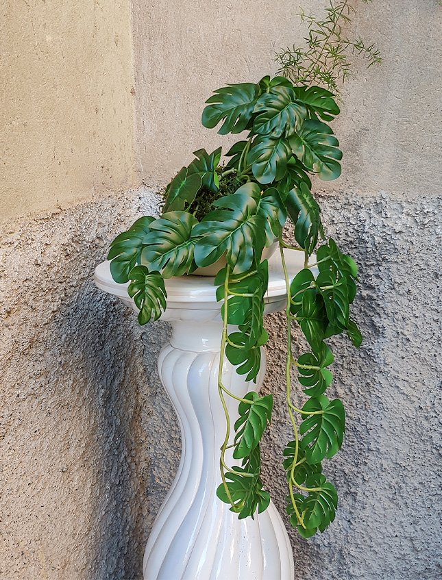 Kokedama Filodendro H 48 - Sconto per Fioristi e Aziende . - In Poliester dm. 28