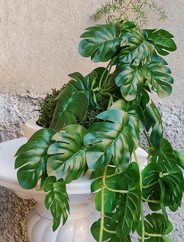 Kokedama Filodendro H 48 - Sconto per Fioristi e Aziende . - In Poliester dm. 28