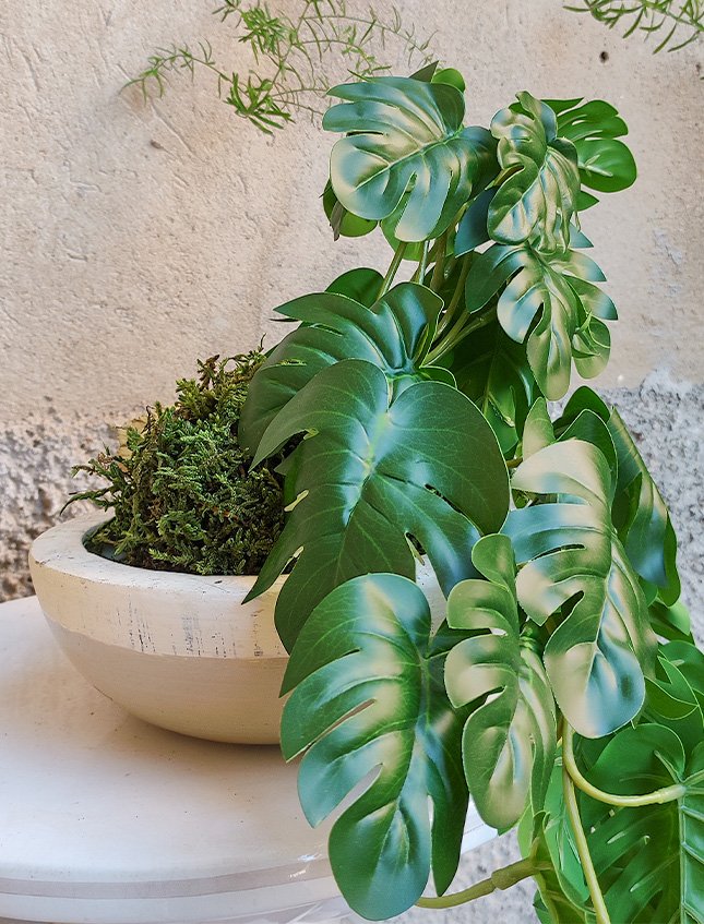 Kokedama Filodendro H 48 - Sconto per Fioristi e Aziende . - In Poliester dm. 28