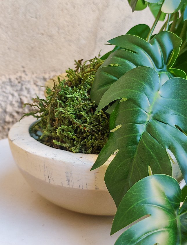 Kokedama Filodendro H 48 - Sconto per Fioristi e Aziende . - In Poliester dm. 28
