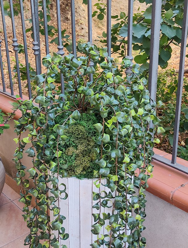 Kokedama Barock H 100  - Sconto per Fioristi e Aziende . - Su sfera Dm. 30