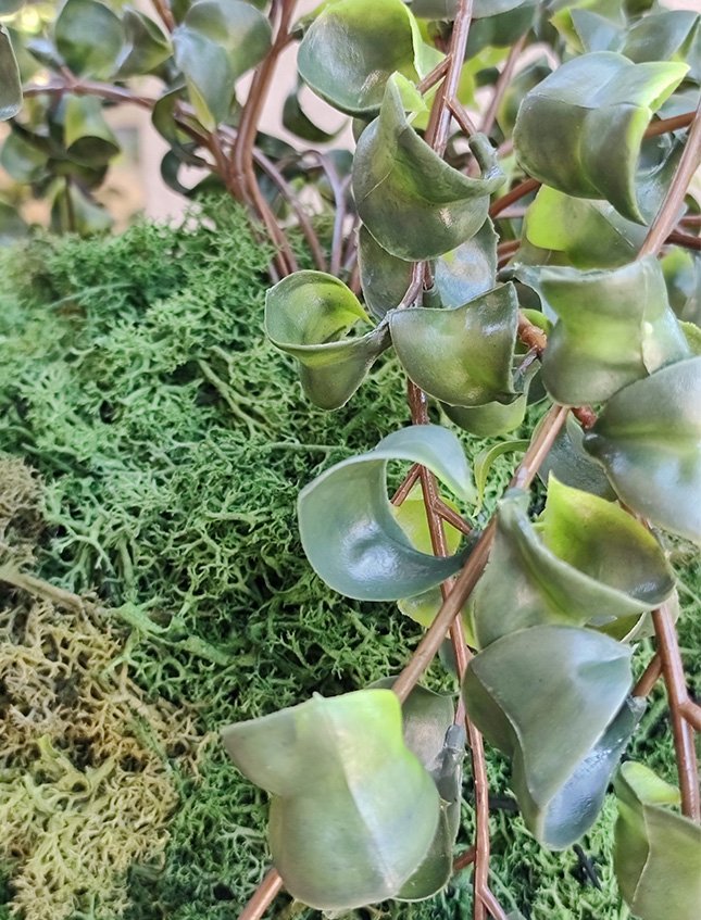 Kokedama Barock H 100  - Sconto per Fioristi e Aziende . - Su sfera Dm. 30