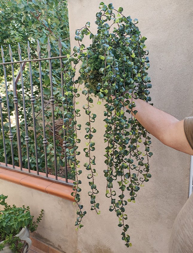 Kokedama Barock H 100  - Sconto per Fioristi e Aziende . - Su sfera Dm. 30