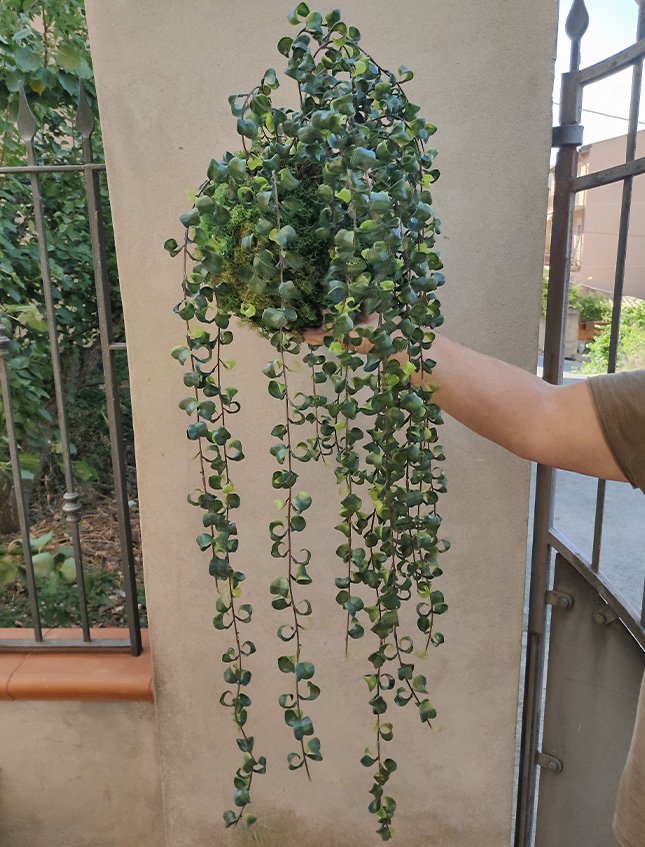 Kokedama Barock H 100  - Sconto per Fioristi e Aziende . - Su sfera Dm. 30