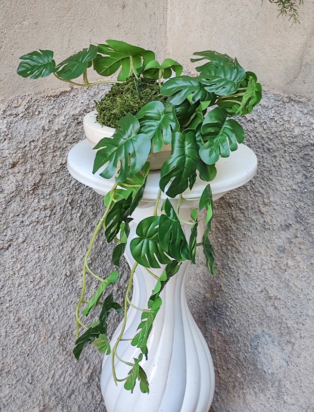Kokedama Filodendro H 48 - Sconto per Fioristi e Aziende . - In Poliester dm. 28