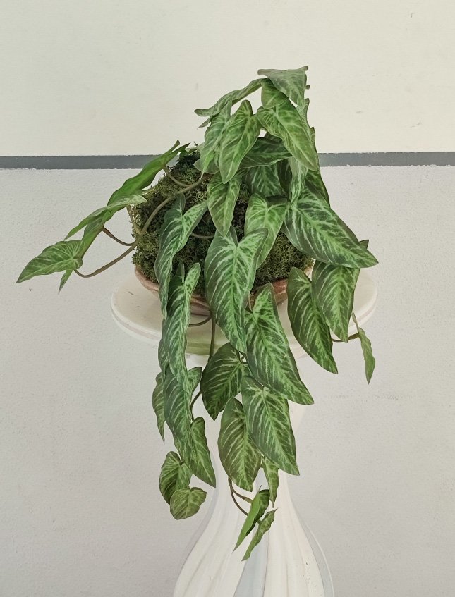 Kokedama Alocasia H 48 - Sconto per Fioristi e Aziende - In Poliester dm. 28