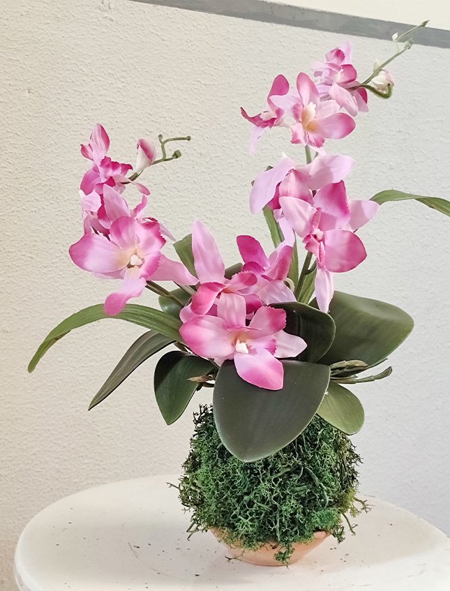 Kokedama Orchidea H 40 - Sconto per Fioristi e Aziende . - Purple dm. 25