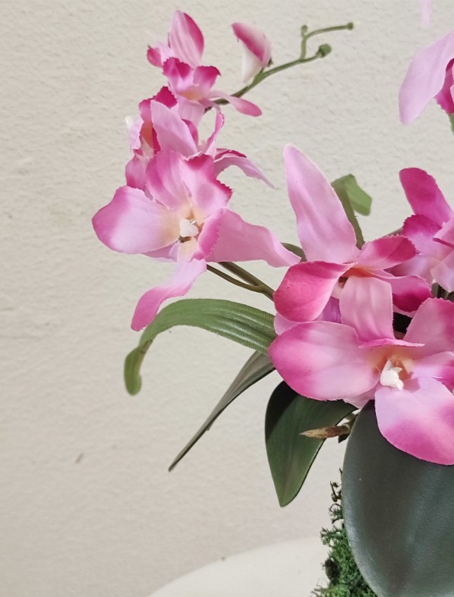 Kokedama Orchidea H 40 - Sconto per Fioristi e Aziende . - Purple dm. 25