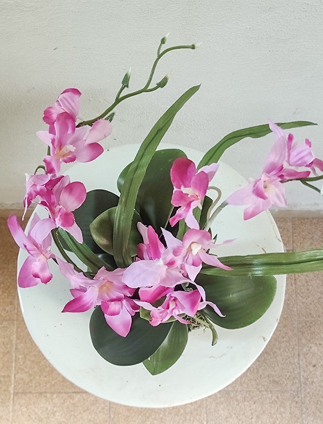 Kokedama Orchidea H 40 - Sconto per Fioristi e Aziende . - Purple dm. 25