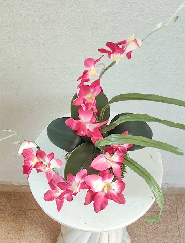 Kokedama Orchidea H 40 - Sconto per Fioristi e Aziende - Lavanda dm. 25