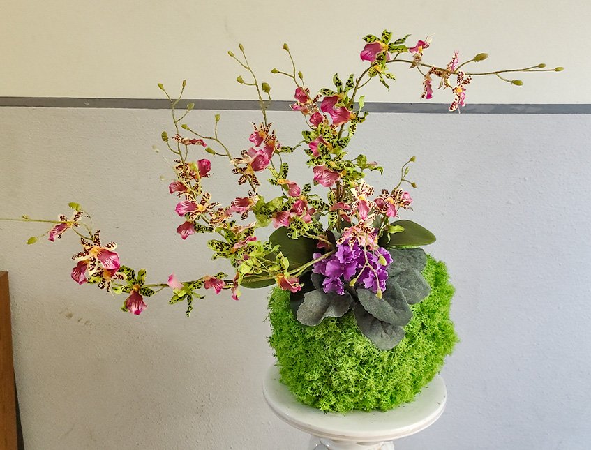 Kokedama Dancing Orchid - Sconto per Fioristi e Aziende - Verde H 60 dm. 50