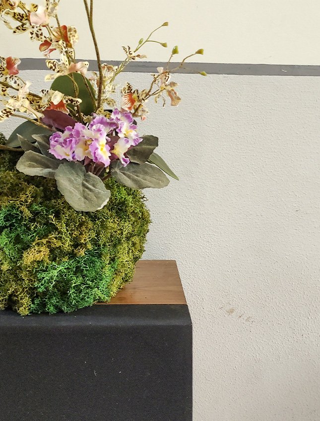 Kokedama Dancing Orchid - Sconto per Fioristi e Aziende . - Beige H 60 dm. 50