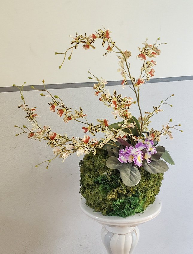 Kokedama Dancing Orchid - Sconto per Fioristi e Aziende - Beige H 60 dm. 50