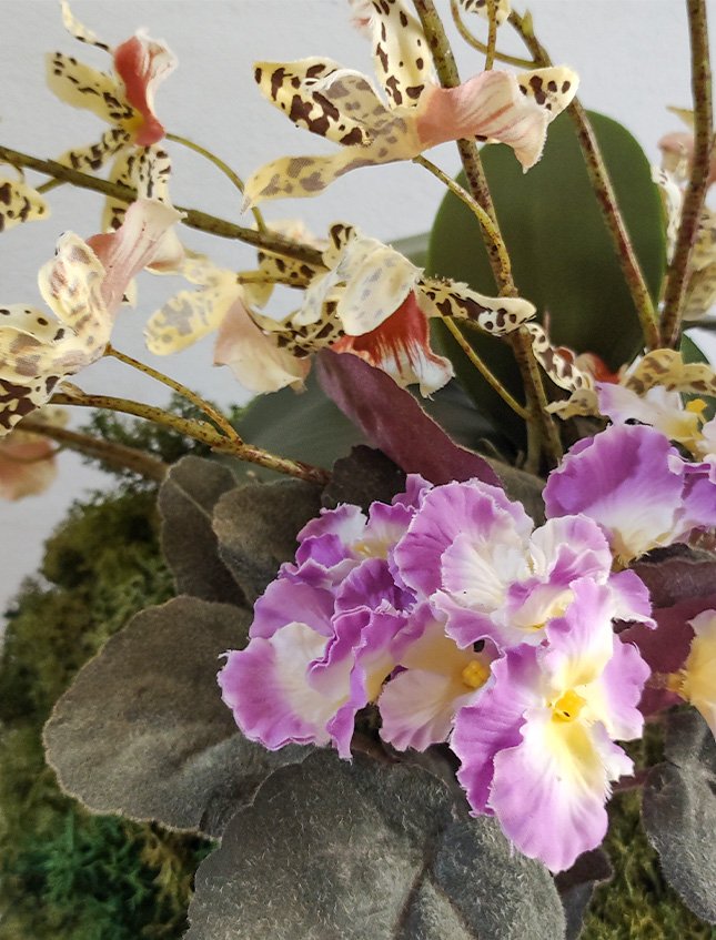 Kokedama Dancing Orchid - Sconto per Fioristi e Aziende . - Beige H 60 dm. 50