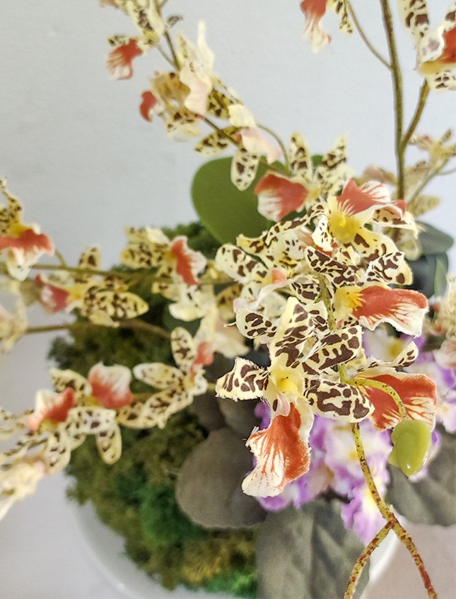Kokedama Dancing Orchid - Sconto per Fioristi e Aziende . - Beige H 60 dm. 50