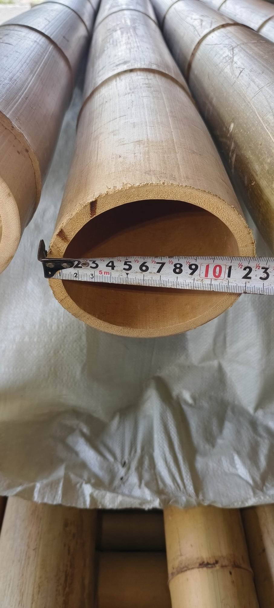 Canna di Bamboo dm. 12/14 - Sconti per Fioristi e Aziende . - Alte cm. 200-250-300
